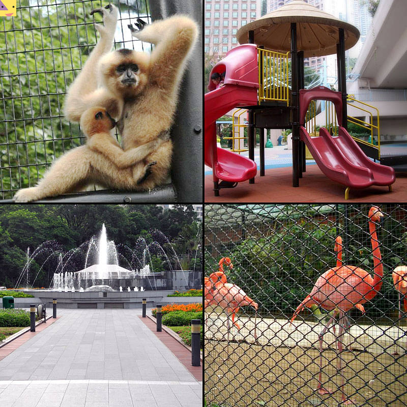 免費親子好去處：香港動植物公園＠中環| 親子活動Family Fun＠香港2021